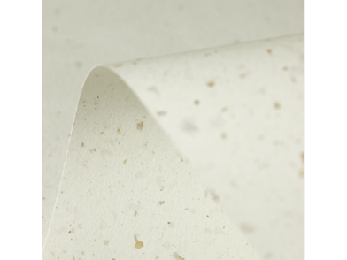 Kaffeepapier Close up