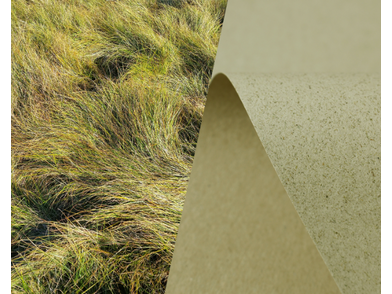 SH Recycling Grass Close up