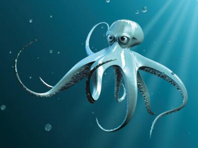 Yupo Taco Indigo | © EP