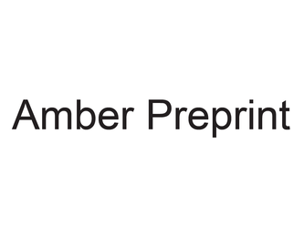 Amber Preprint Logo